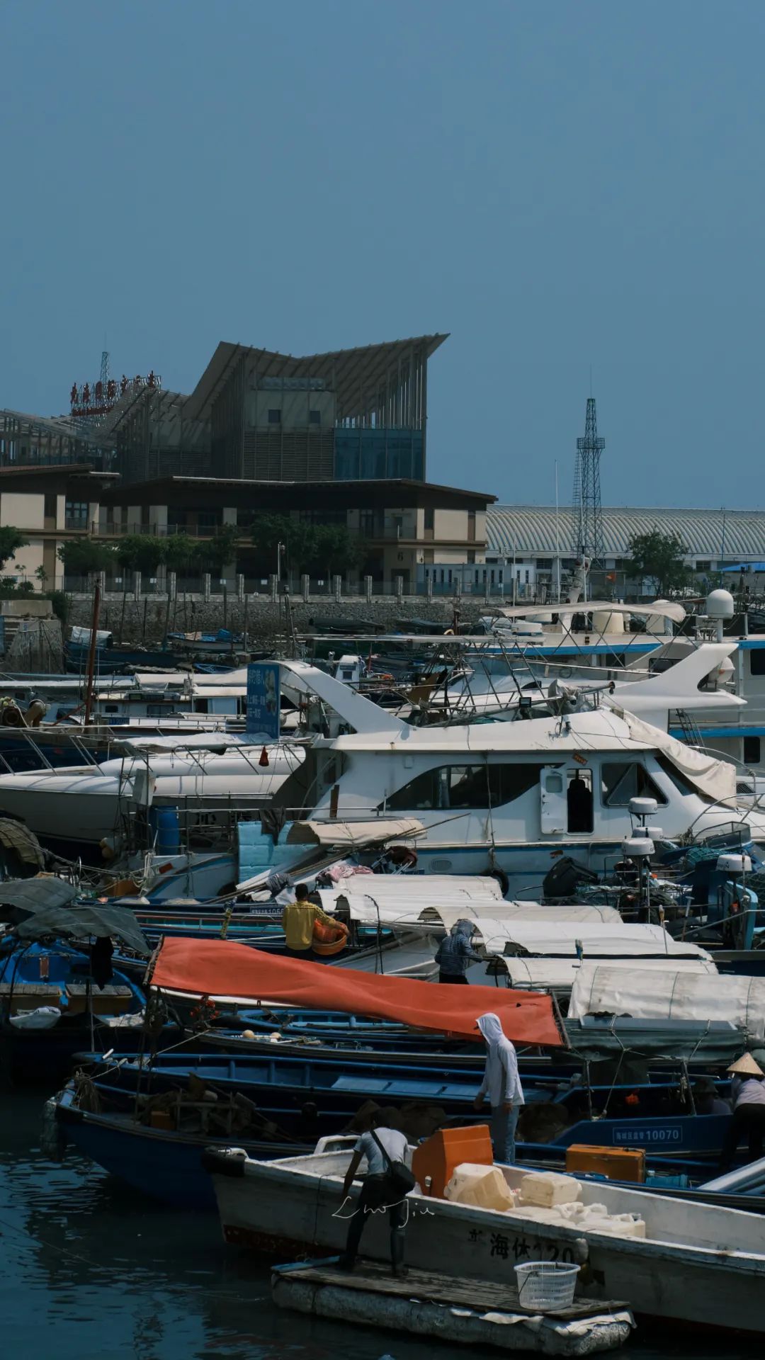 你根本没有去过侨港