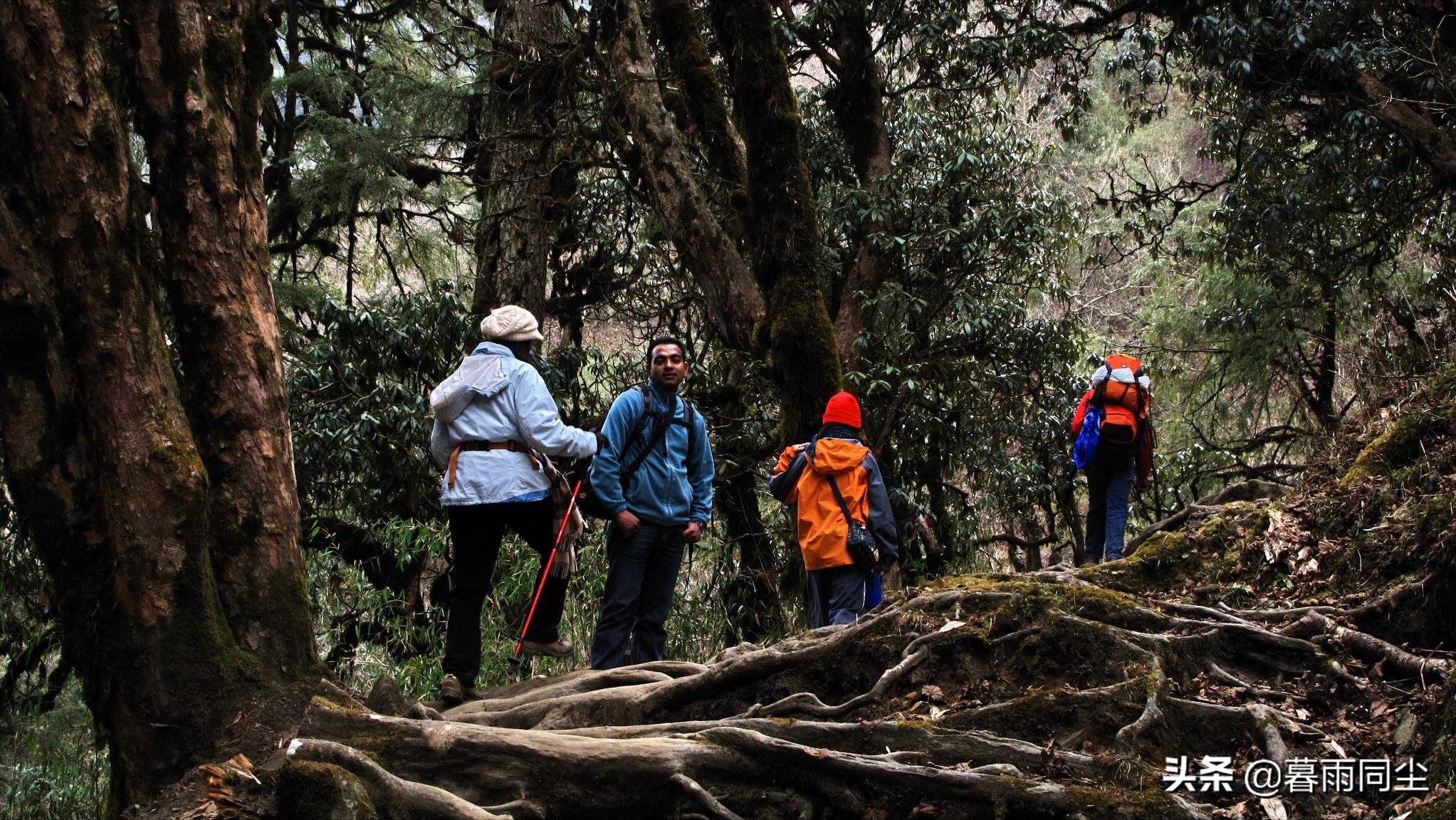 最便携实用的户外徒步露营装备,户外徒步露营必备10件装备