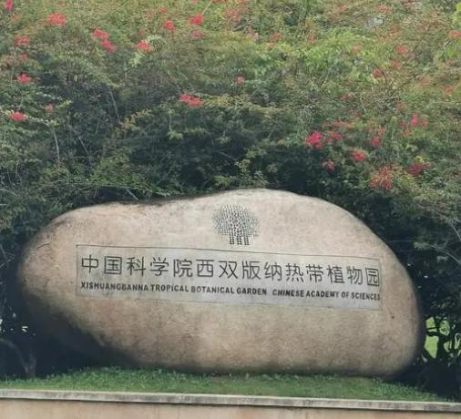 云南最漂亮的景点排名,云南最漂亮的景点推荐