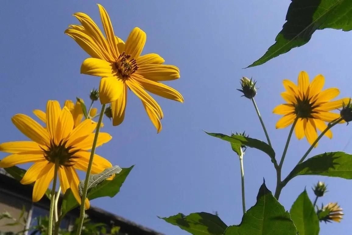 活着不要太当真人生感悟,人活着别明白太晚别活得太委屈