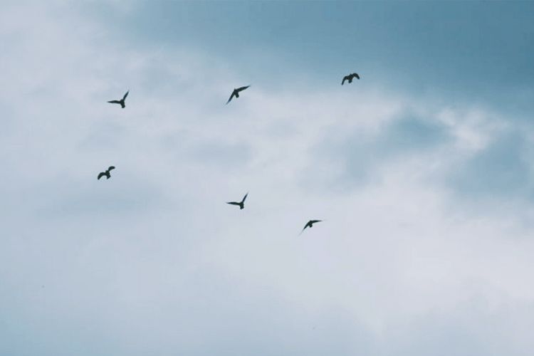 中国武侠城,中国武侠情怀全文