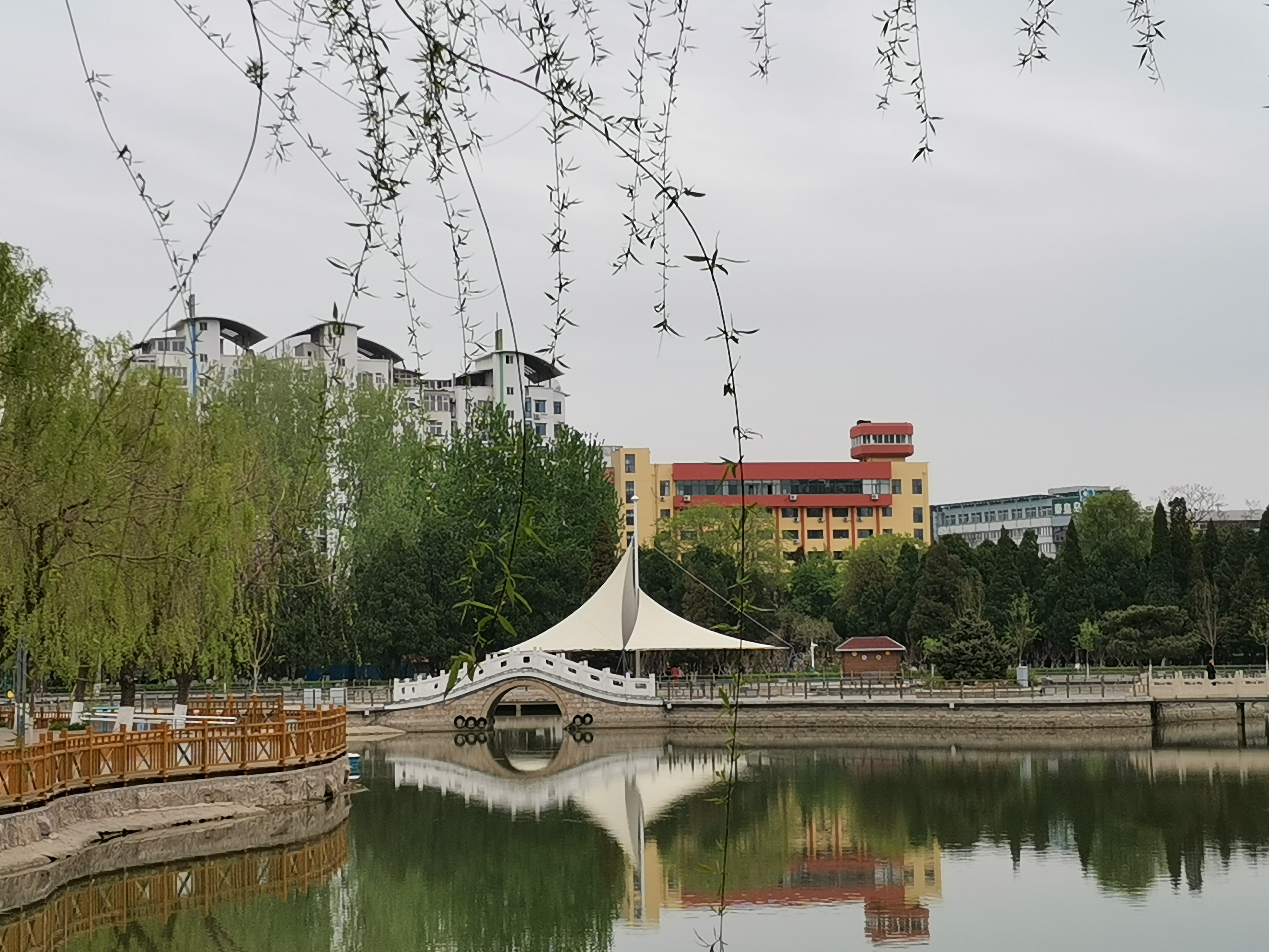 我的一段恋爱经历,回忆我的恋爱经历