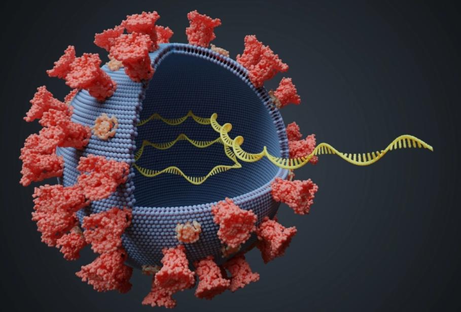 鏂板瀷鐥呮瘨鍙椿浜斿ぉ,鐥呮瘨鍙兘瀛樻椿浜斿ぉ