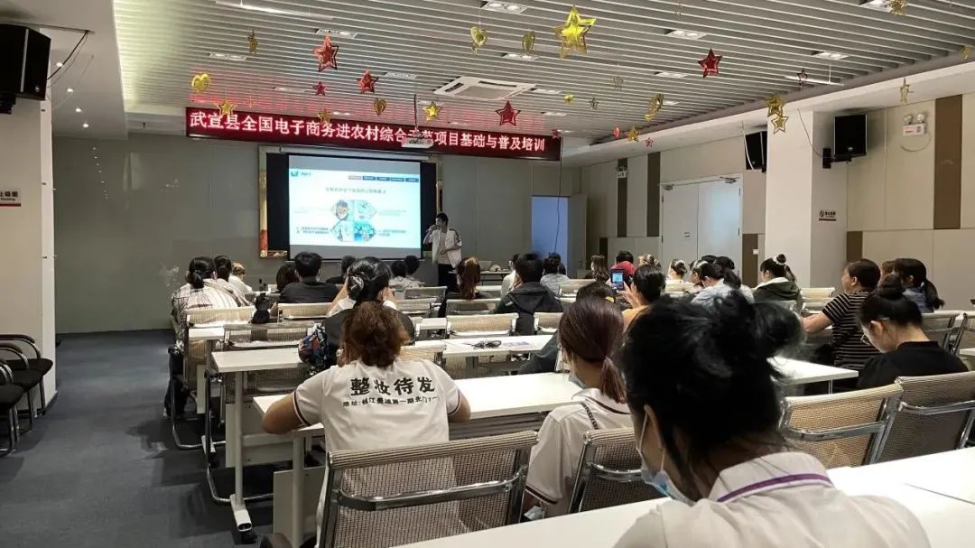 电子商务进村示范工程,武宣电商进农村