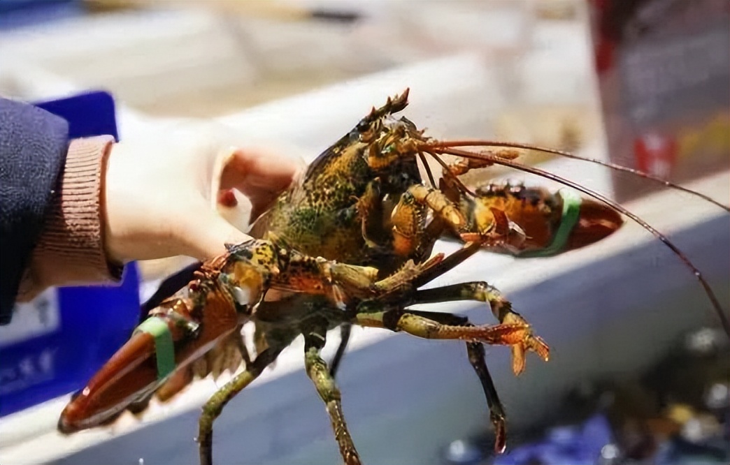 嗨吃波龙套餐,嗨购团购龙虾