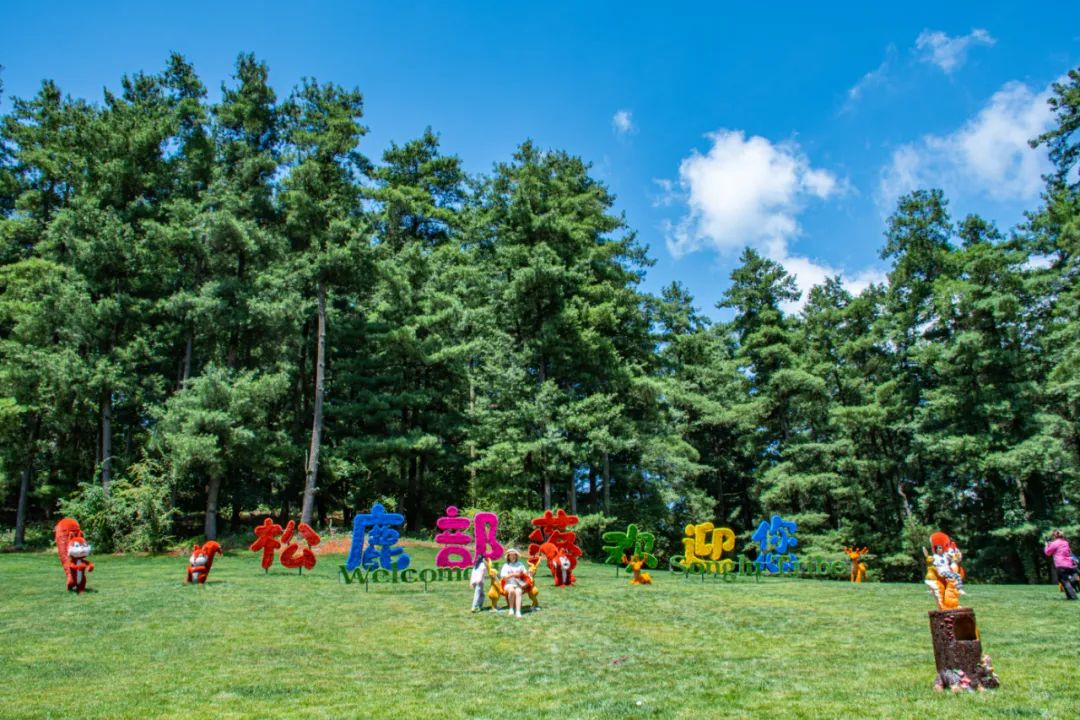 昆明旅游攻略一日游景点推荐理由,昆明旅游景点推荐一日游攻略图