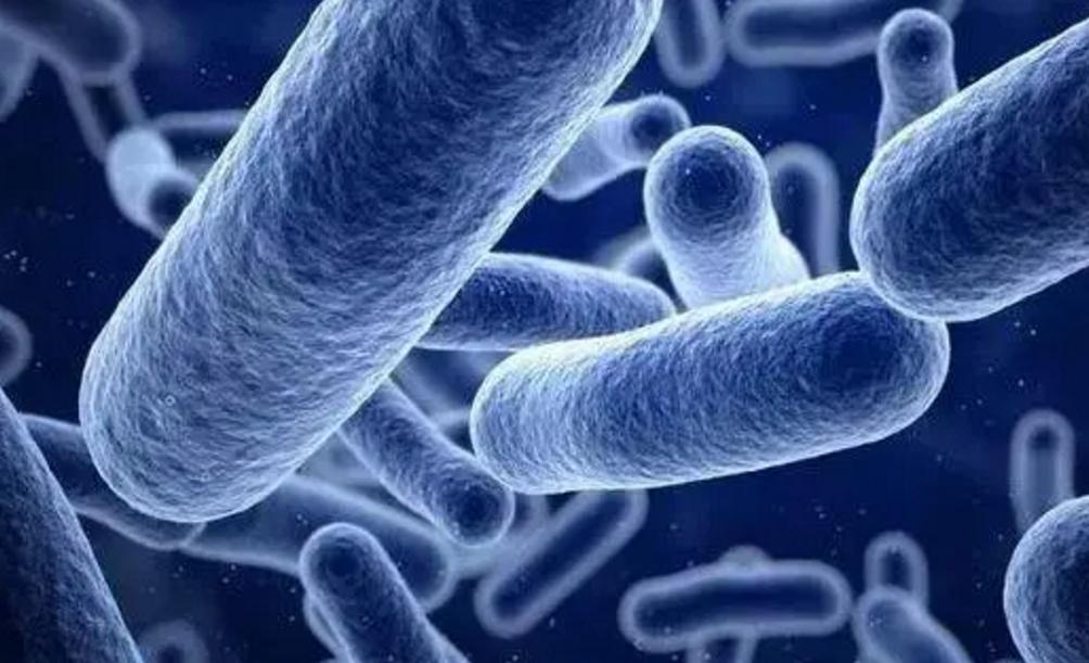 内裤好多分泌物代表什么,女性裤头总有异味怎么回事