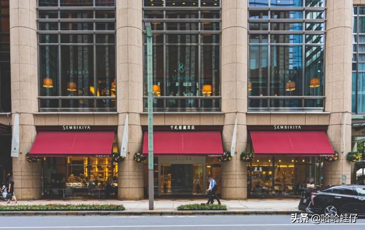 最贵的进口水果店,日本最贵水果店