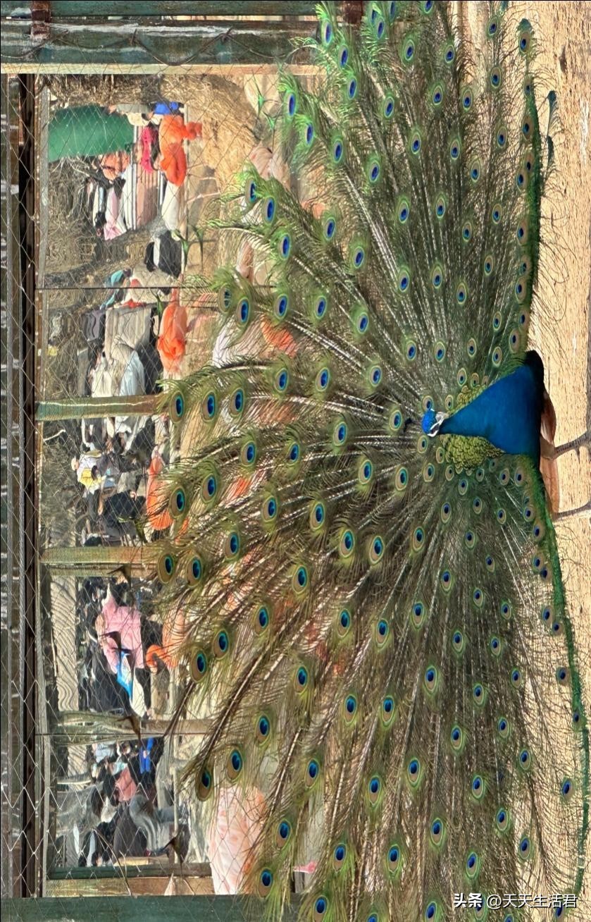 郑州适合亲子旅游的地方,郑州出发三天两晚亲子旅游攻略