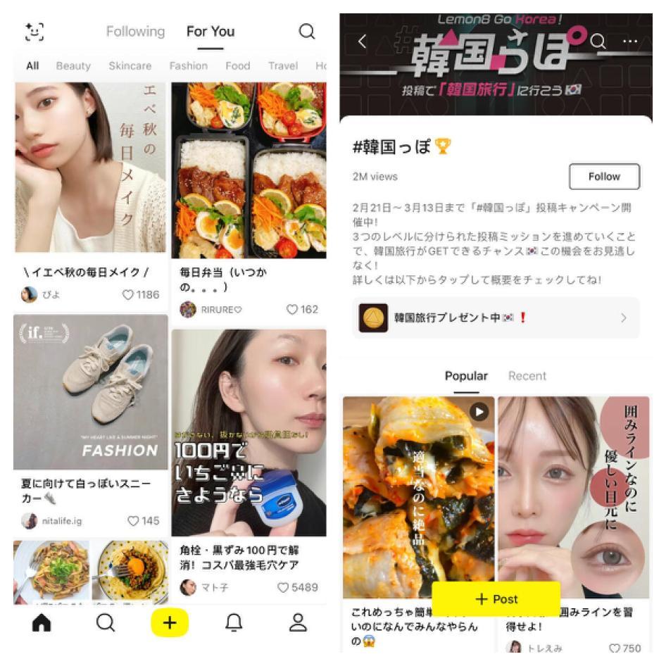 小红书出海，打不过“小黄书”