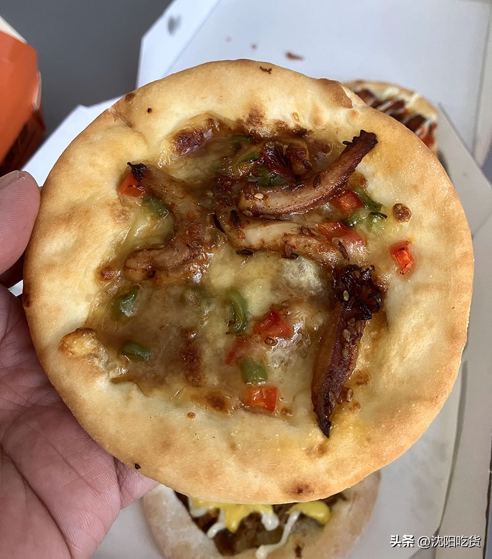 这是我吃过最贵的芝士披萨,这是我吃过的最美味的披萨饼英文