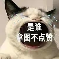 轻轻敲醒沉睡的心灵表情包高清,轻轻敲醒沉睡的心灵表情包