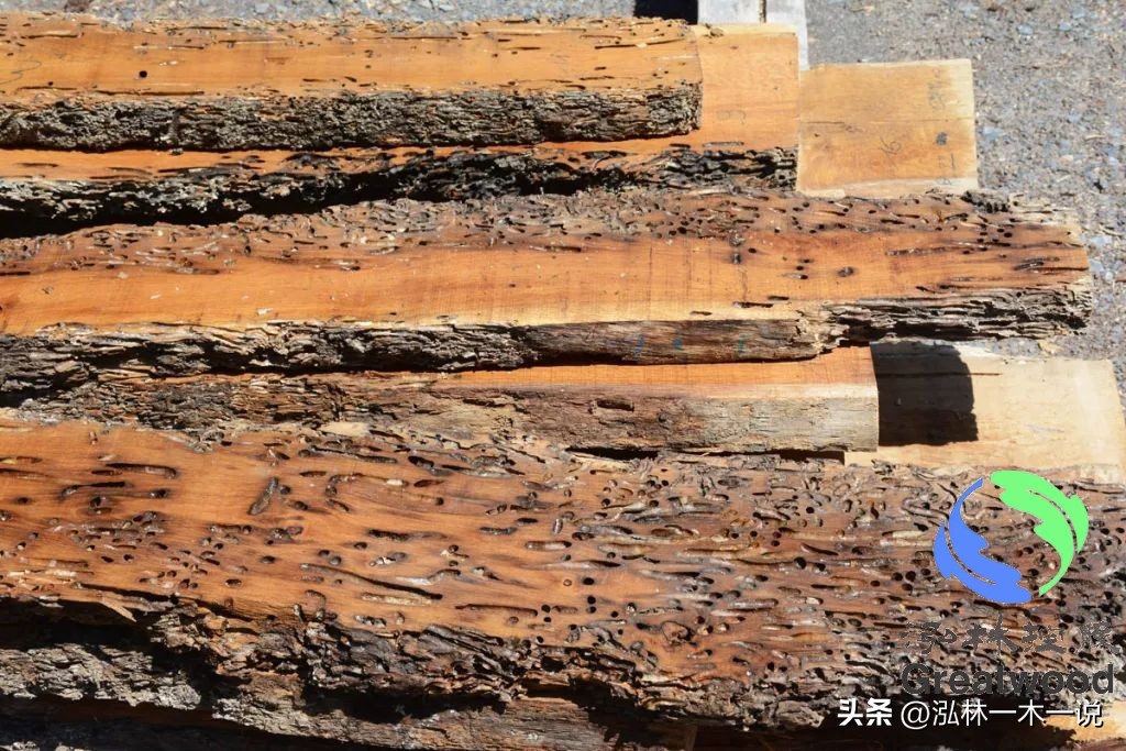 欧洲贵妇出轨被发现,欧洲白富美