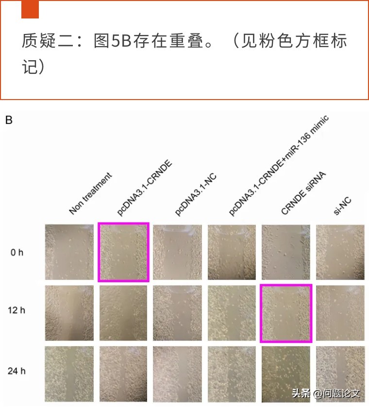 因明显图片重叠争议，上海市第八人民医院的论文被广大学者质疑