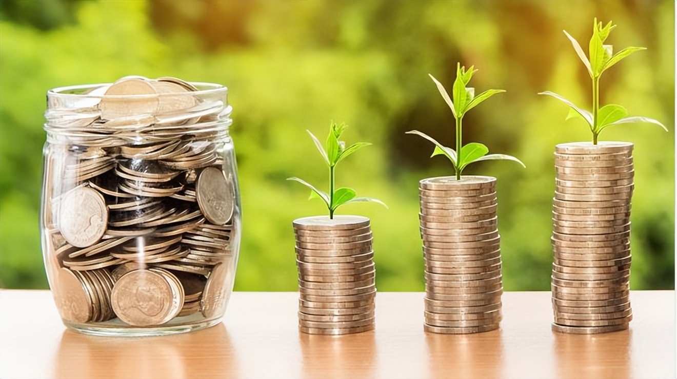 小白创业成功率高的项目,小白创业最赚钱的项目