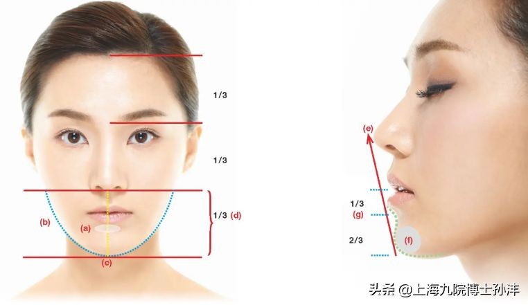 下巴对气质的影响,最好的下巴是双下巴吗