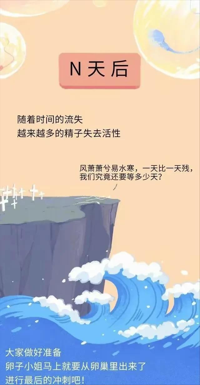 精子进入女性体内，会发生什么？有些刺激（漫画）