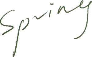 揭秘纯露的真面目,怎么判断纯露是不是纯正的