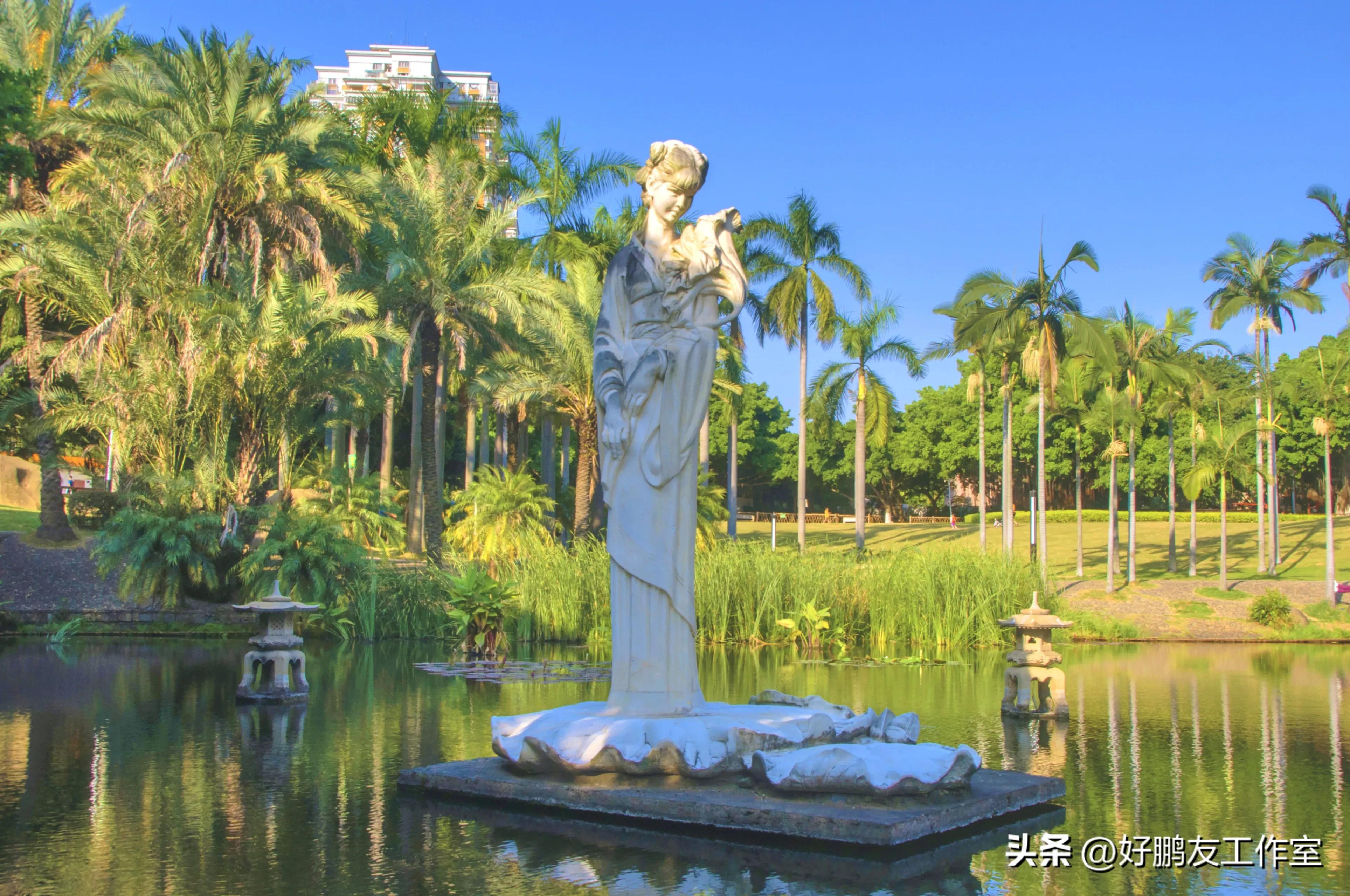 厦门莲花公园图片大全,厦门莲花公园攻略