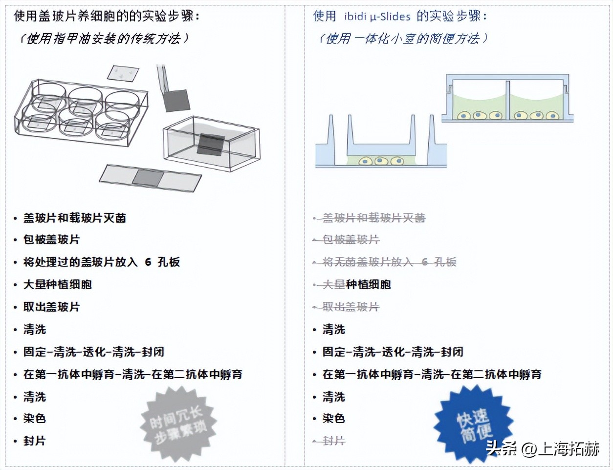 ibidi μ-Slide（80826、81201）腔室载玻片促销钜惠活动-雷萌生物