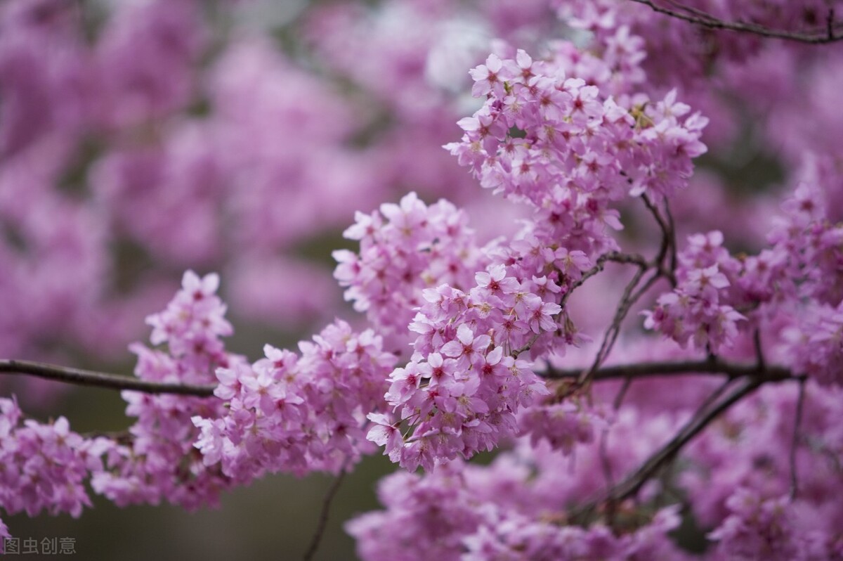 如何和对方聊得舒服,跟女孩子聊天如何引起对方的兴趣