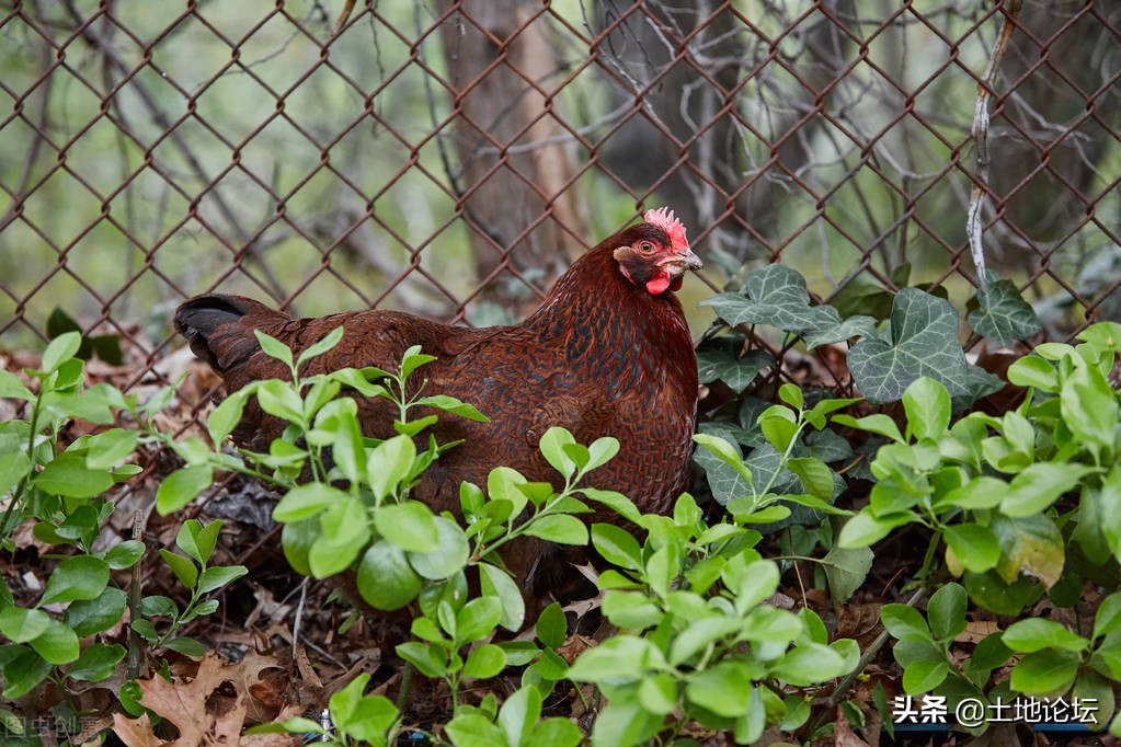 家庭农场可以办理信用贷么,家庭农场怎样能获批大的贷款