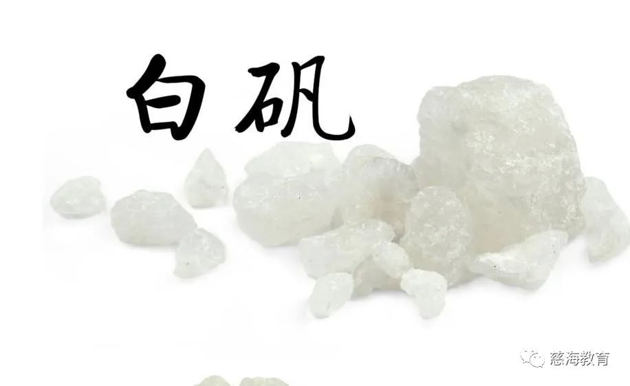 每天学习一味中药芡实,每天学习一味中药何首乌