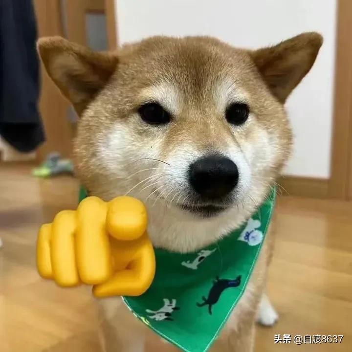 有没有什么特别好笑的笑话,有什么好笑的笑话吗50字左右