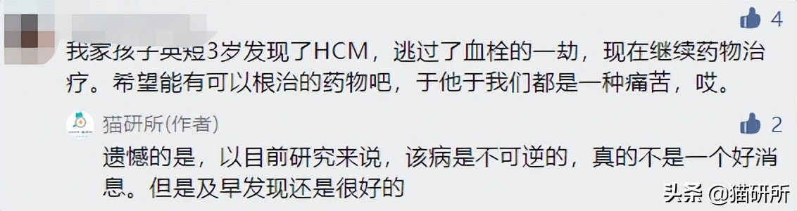 猫肥厚型心肌病分几期,猫得了hcm肥厚型心肌病