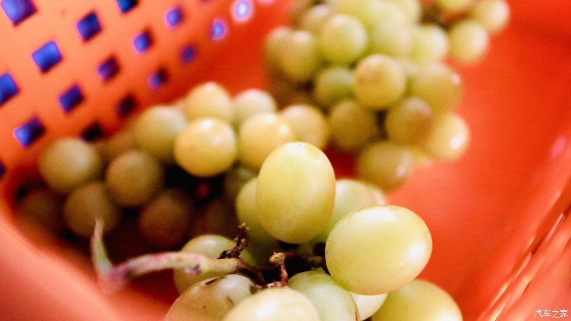 平沙露营地方,珠海平沙公园可以露营过夜吗