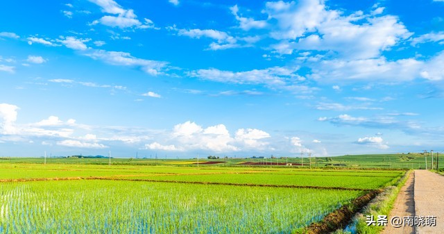 真心遇到一个红颜知己,喜欢上了红颜知己怎么办