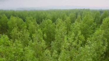 19岁女孩被父母逼迫嫁人第二集,19岁的女孩被迫嫁到荒漠