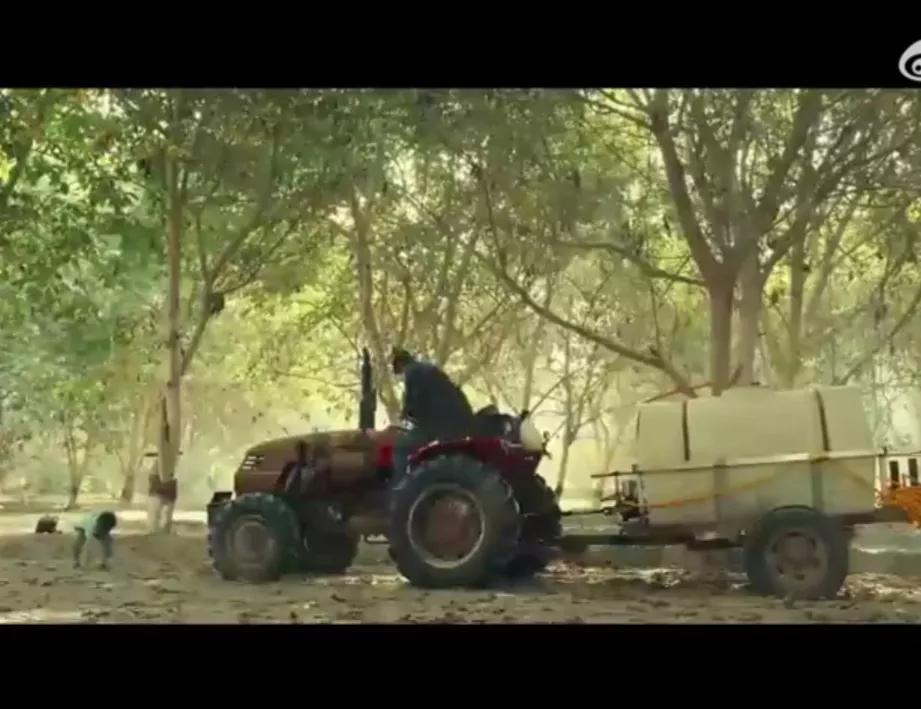 李冰冰黄晓明林永健合作的电影,李冰冰冯绍峰电影