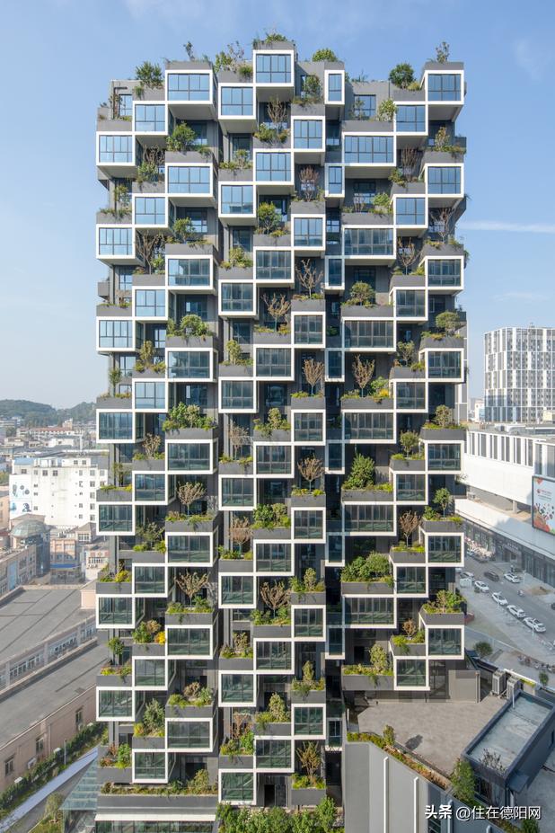 德阳森林花园住宅试点,德阳中江森林花园