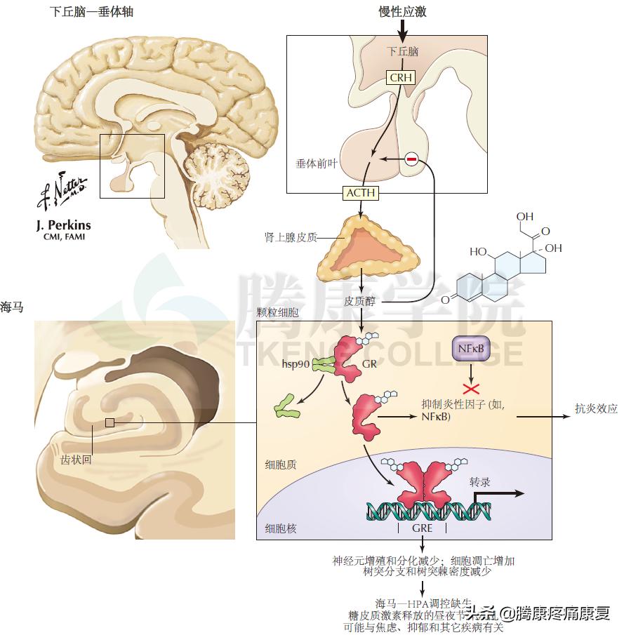 神经性湿疹简单的自愈方法,湿疹病理治疗特效药