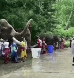 去云南过泼水节要注意什么,第一次过云南泼水节