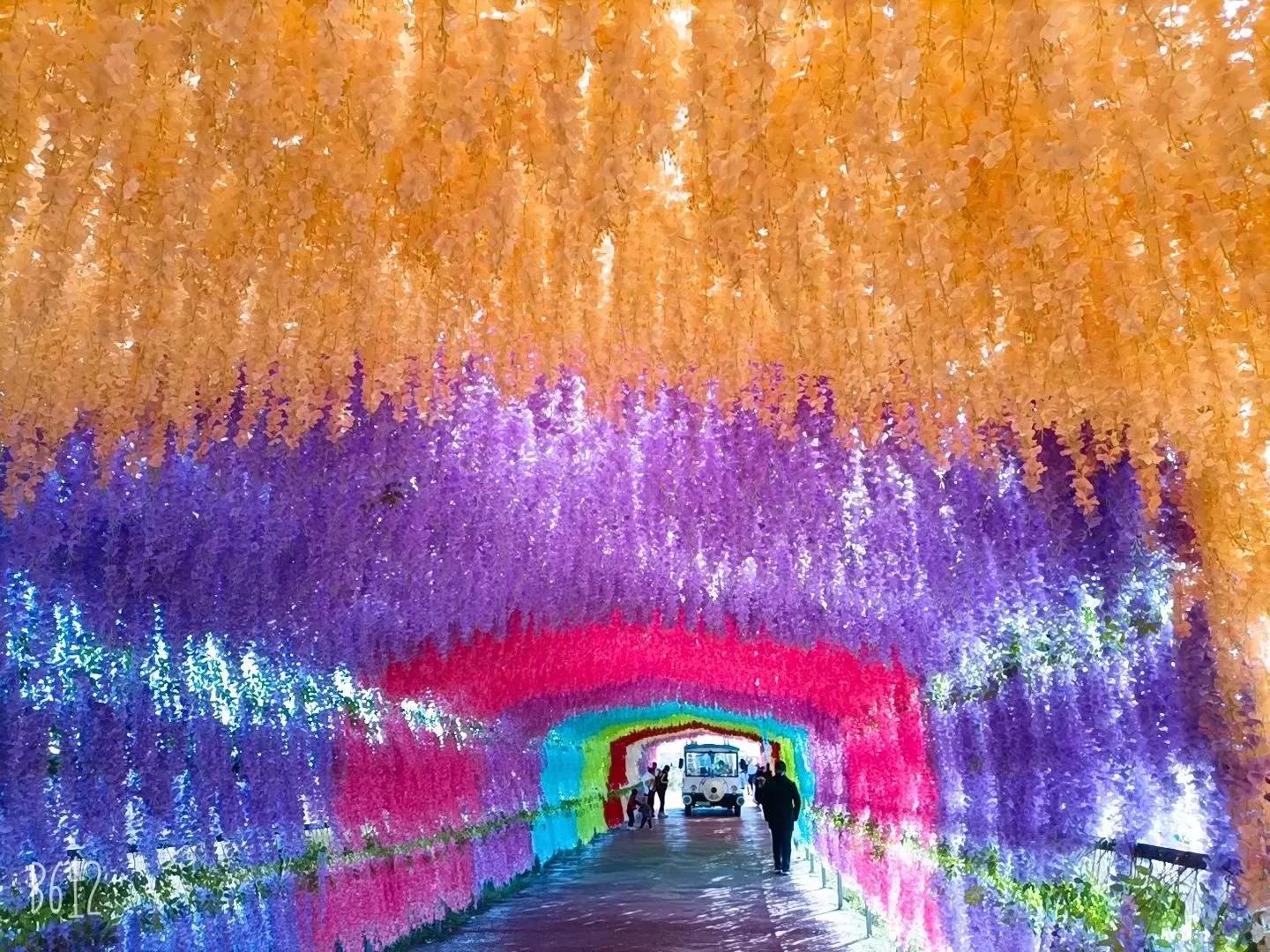 贵阳自驾阿西里西大草原,贵阳龙里大草原
