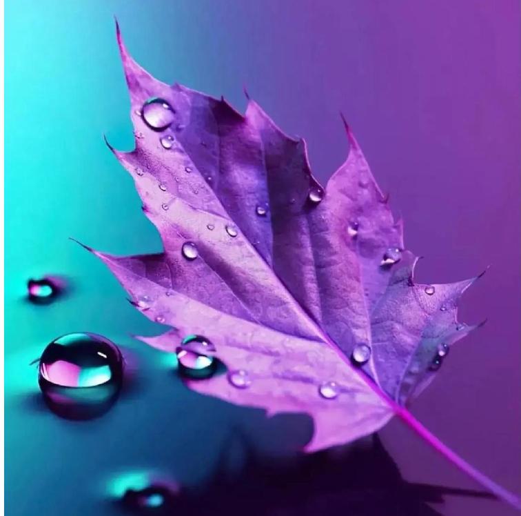 天蝎座男生性格优点和缺点分析图,天蝎座男生的性格优缺点分析图