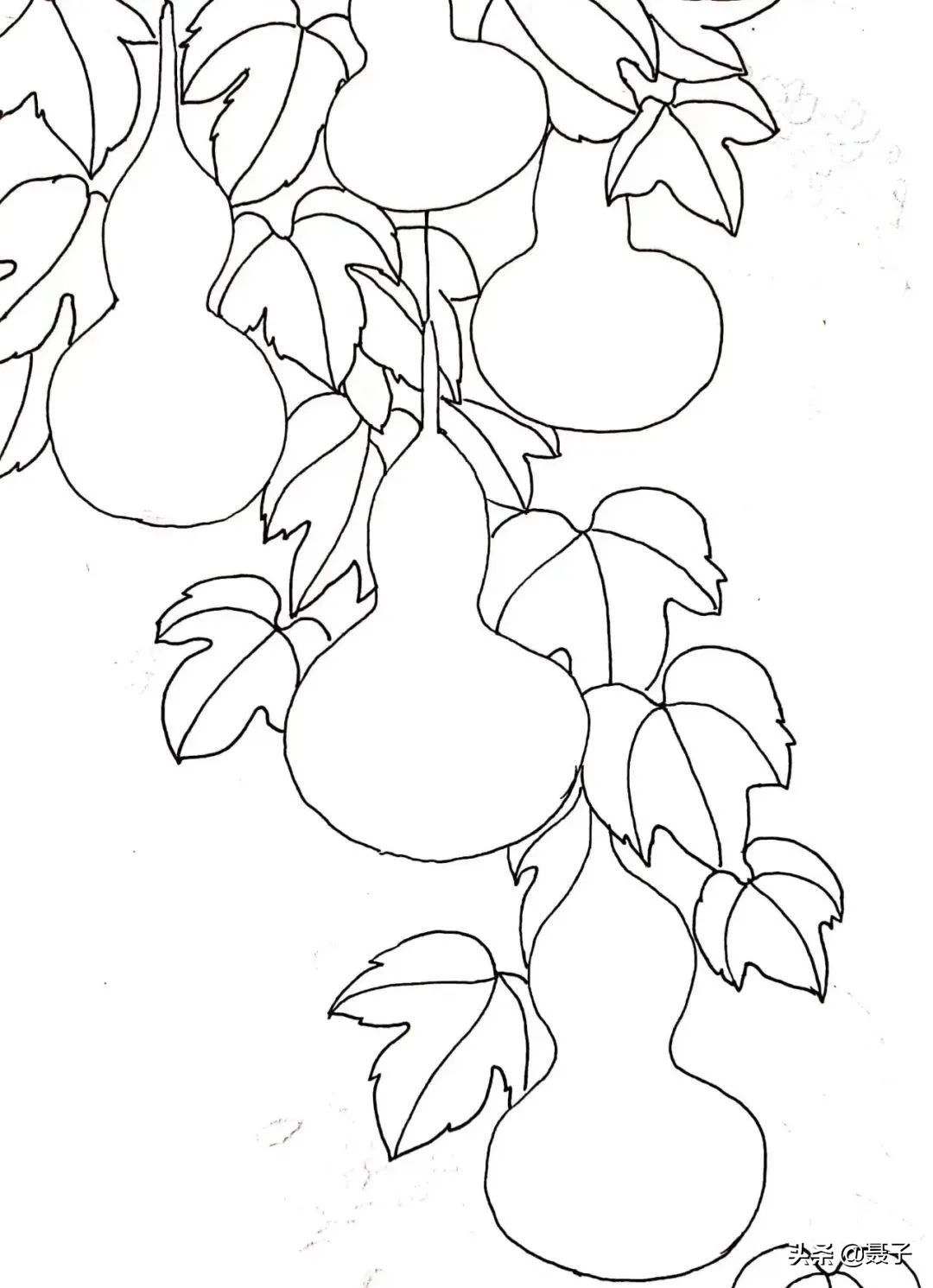 童年记忆宝葫芦,葫芦小金刚国漫童年回忆分享