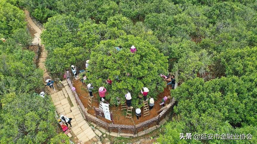 建行新金融履践初心使命,建行新金融工作汇报