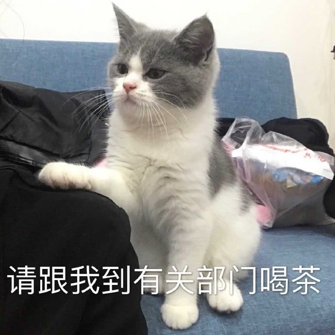 高校公众号管理系统,校园微信公众号如何运营