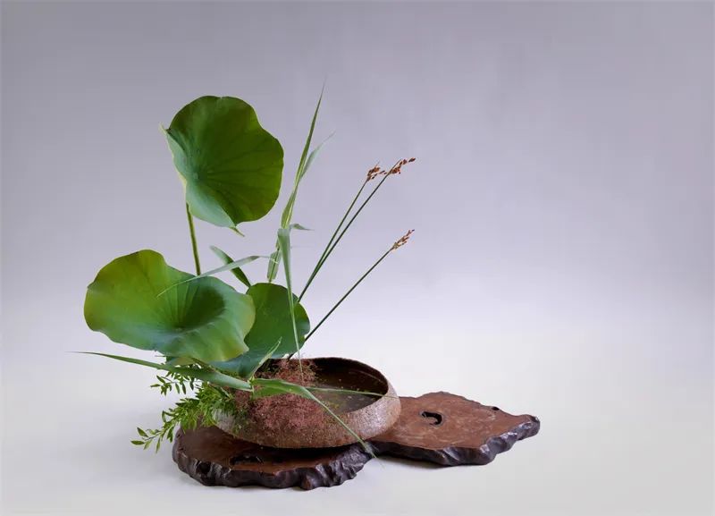 日本顶级禅意插花荷花,日式荷花插花