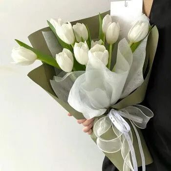 三月花事Vol.2|那些属于女神们的花