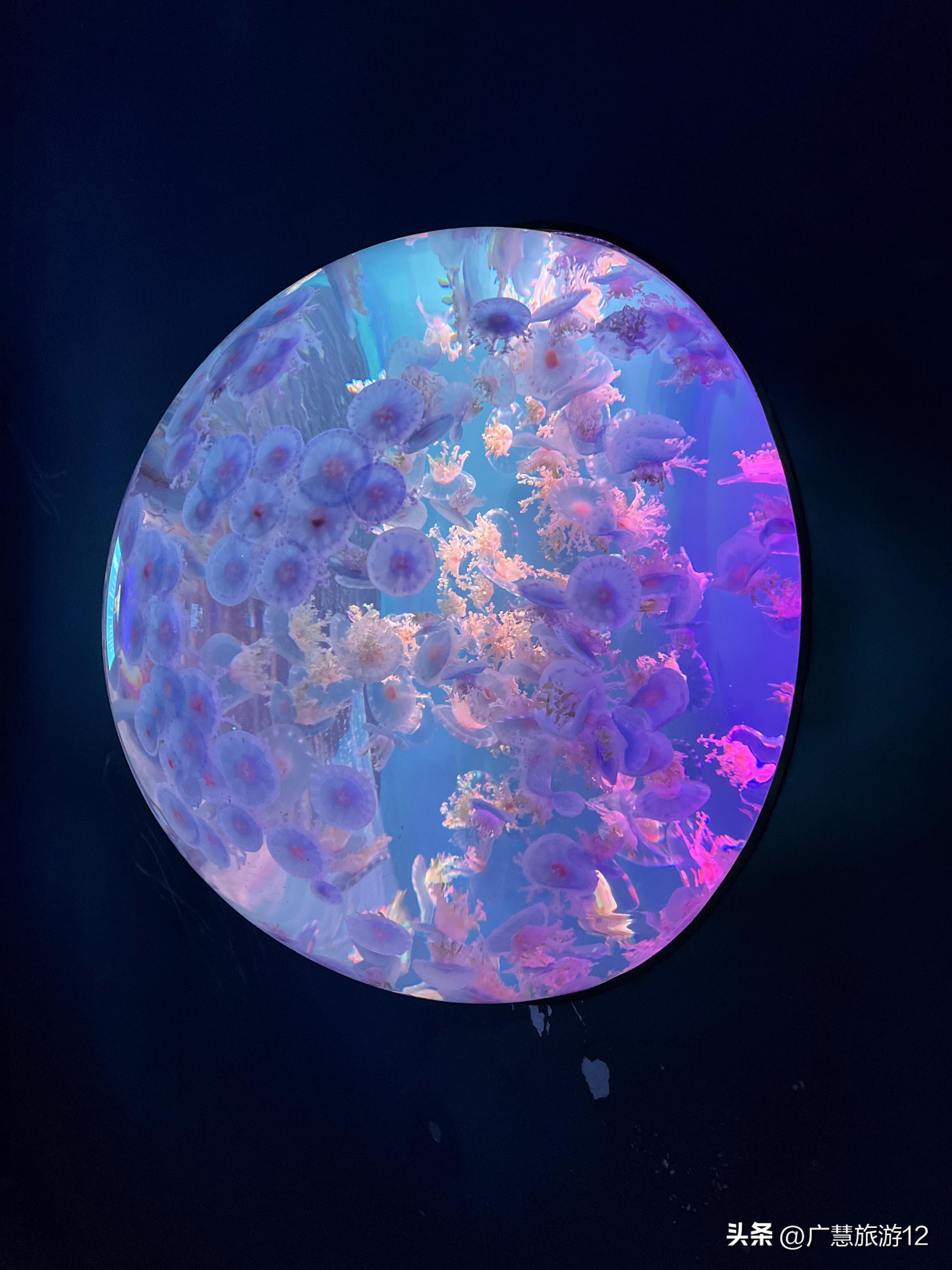 日照旅游排第几,日照全景旅游攻略大全最新