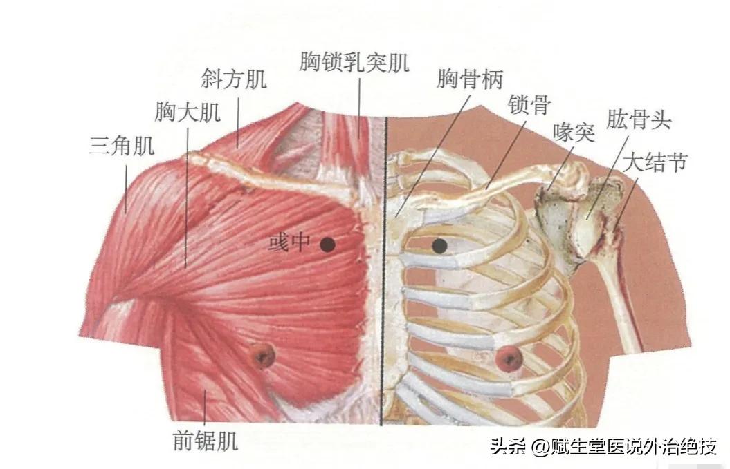 治咳嗽要穴,咳嗽穴一按就好