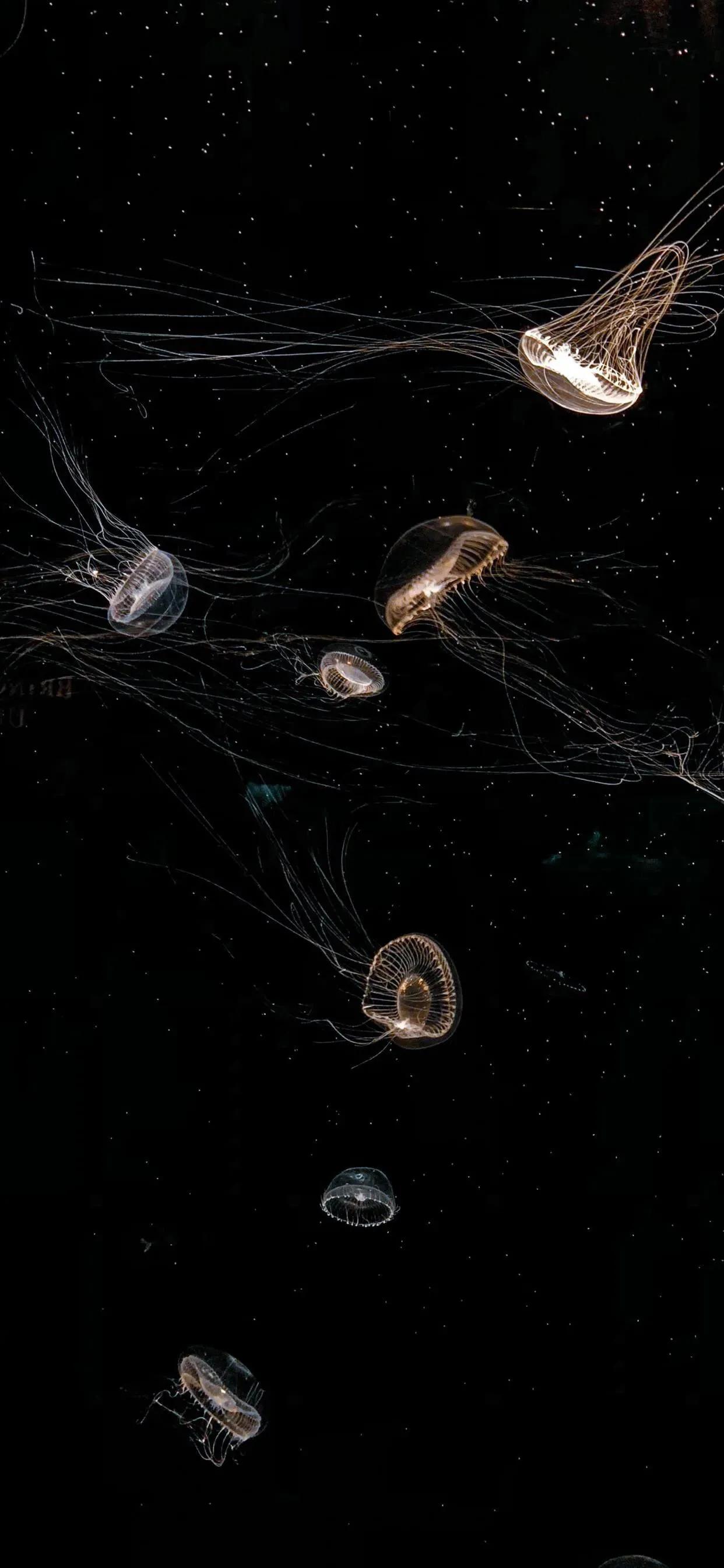 蓝色海景壁纸图片大全,海景壁纸4k超清全面屏