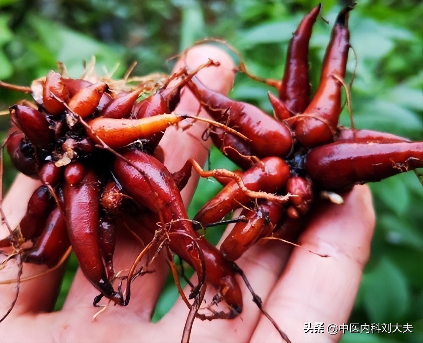治疗湿疹皮肤瘙痒的最佳方法,皮肤瘙痒湿疹中药方