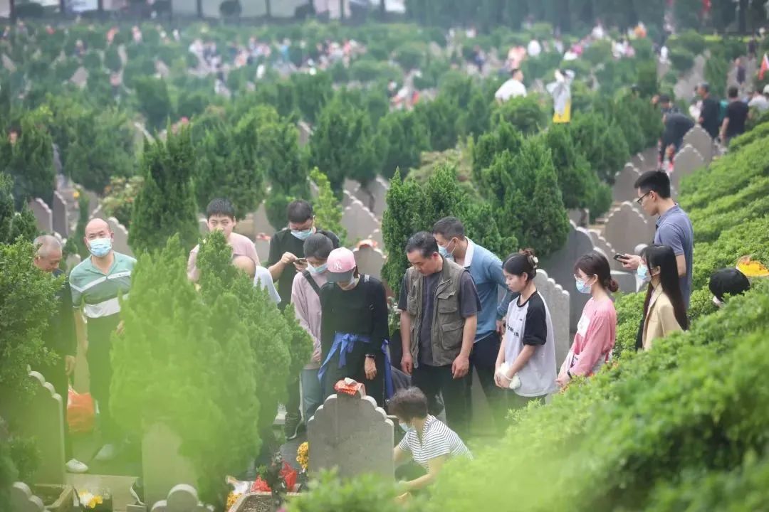 佛山南海清明预约祭扫最新消息,佛山清明祭扫最新通知