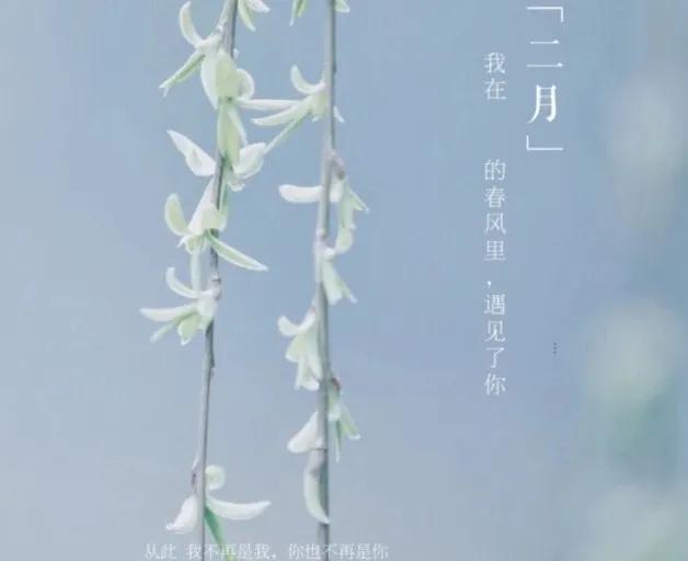 二月二龙抬头产品文案朋友圈句子,二月初一朋友圈文案短句