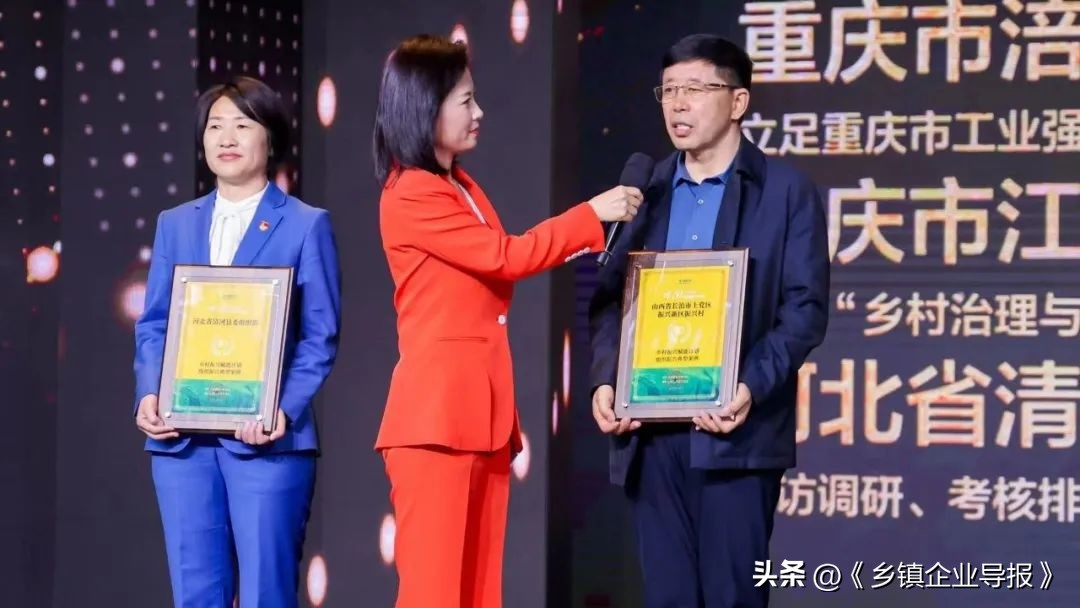 乡村振兴赋能计划人才典型案例,乡村振兴之文化振兴案例